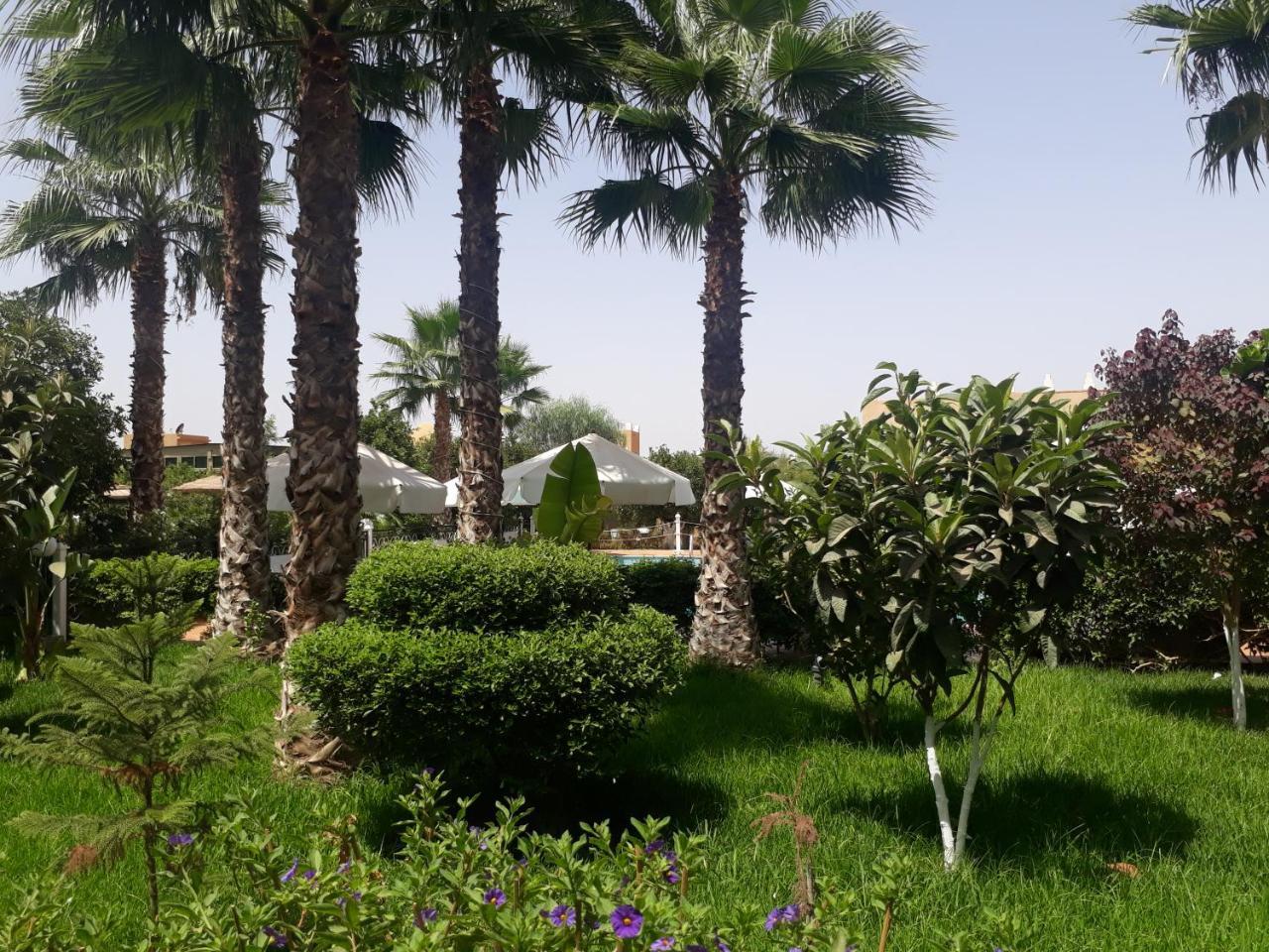 Almounia Hotel & Spa タルーダント エクステリア 写真